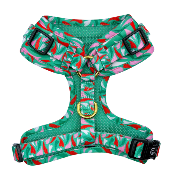 MOLLY & CO. - Adjustable Harness-Amore