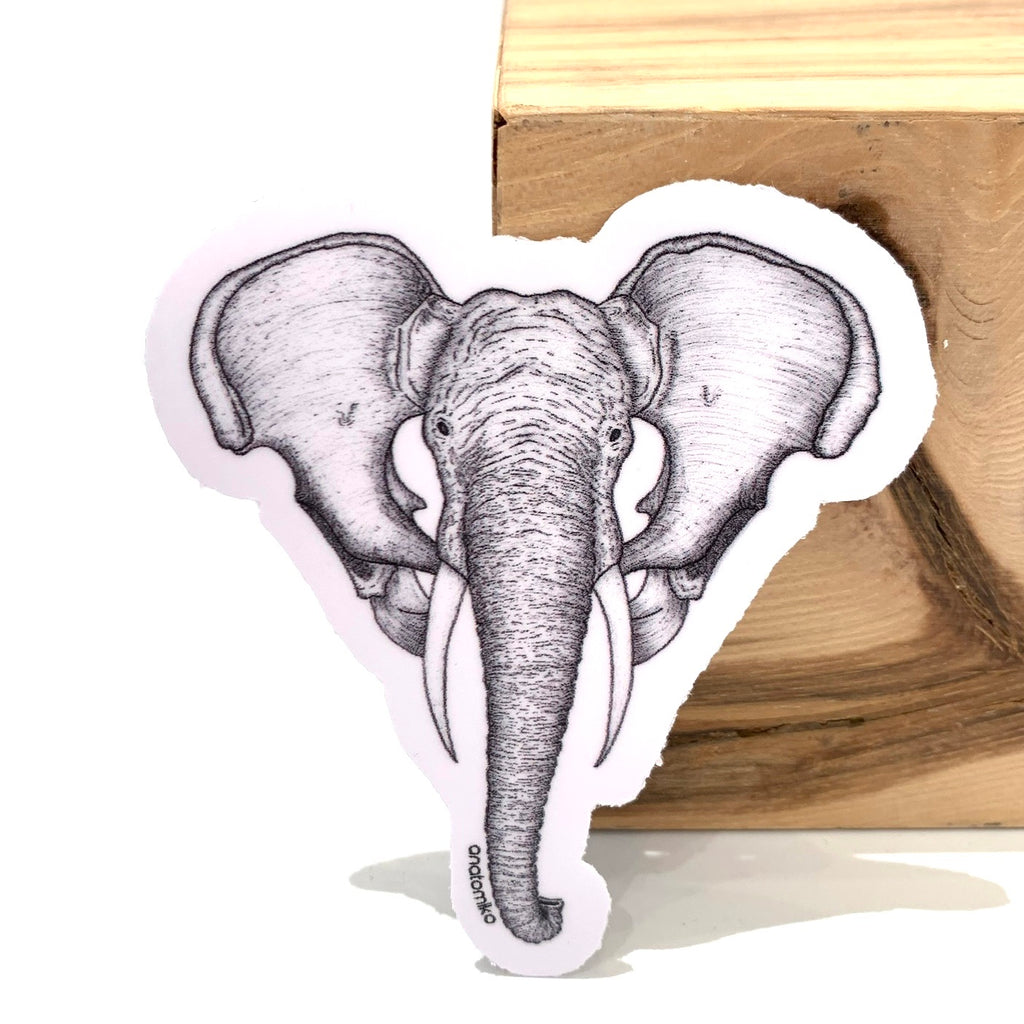 ANATOMIKO - Loxodonta Sticker
