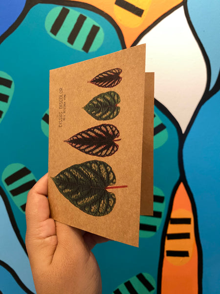 PUPA BY GIO - Blank Greeting Card with Envelope