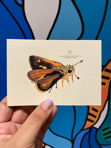 PUPA BY GIO- Art Print- Antillean Broken Dash Skipper