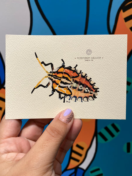 PUPA BY GIO- Art Print- Thunberg 1873