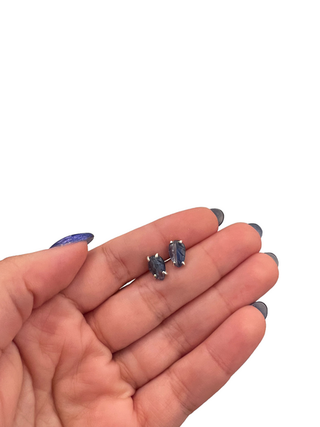 LYDIA TUCCI- Carved Blue Kyanite Leaves Studs