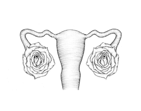 ANATOMIKO - Fallopian Blossom Sticker