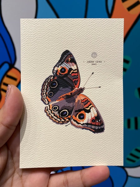 PUPA BY GIO- Art Print- Buckeye