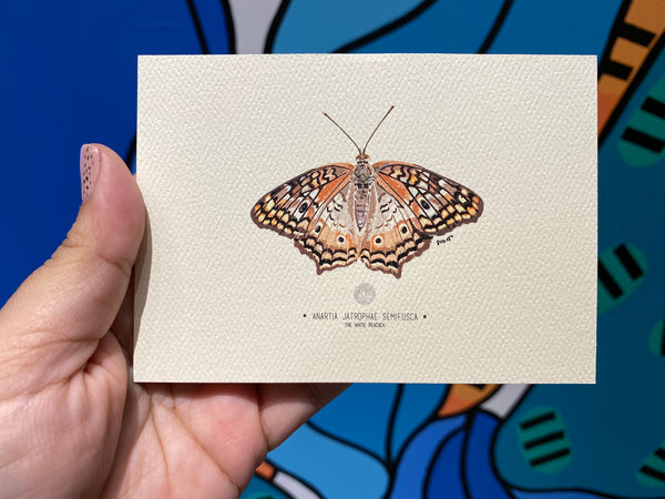 PUPA BY GIO- Art Print- The White Peacock