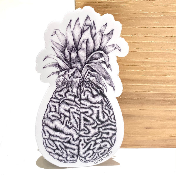 ANATOMIKO - Sweet Cerebrum Sticker
