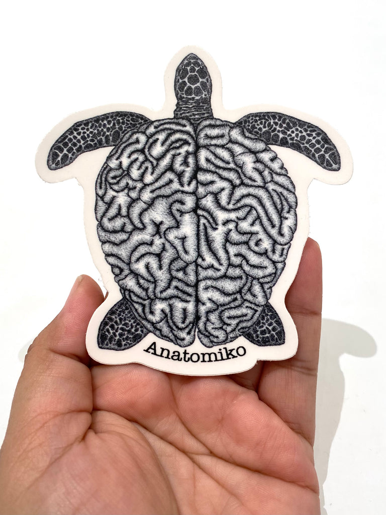 ANATOMIKO - Testudines Sticker