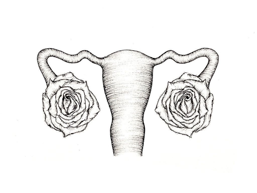 ANATOMIKO - Postcard - Fallopian Blossom