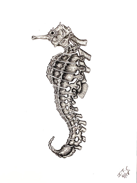 ANATOMIKO  -  Postcard- Hippocampus