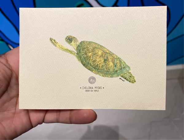 PUPA BY GIO- Art Print- Green Sea Turtle