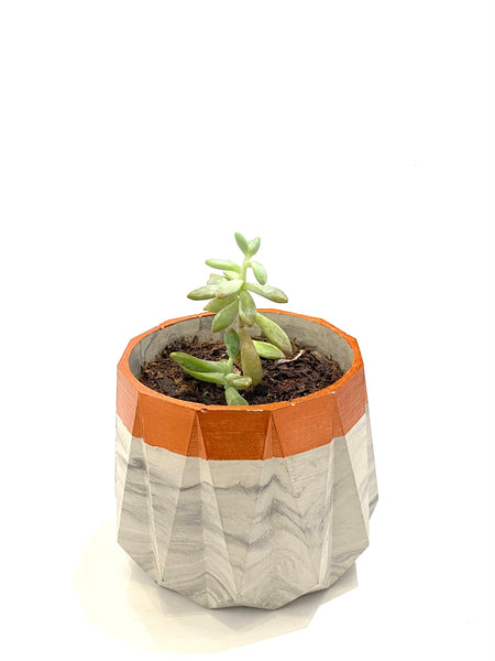 DEKOKRETE - Andrea Marbled Concrete Planter