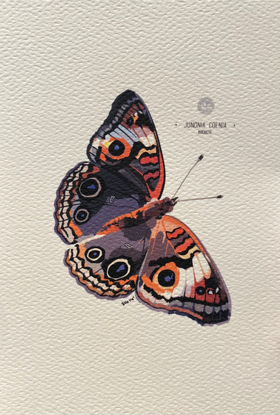 PUPA BY GIO- Art Print- Buckeye