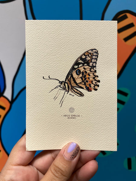 PUPA BY GIO- Art Print- Lime Butterfly
